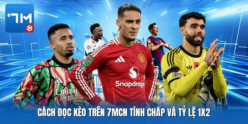 Cách đọc kèo trên 7mcn tính chấp và tỷ lệ 1x2 Cách đọc kèo trên 7mcn tính chấp và tỷ lệ 1x2