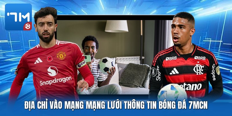 Địa chỉ vào mạng mạng lưới thông tin bóng đá 7mcn Địa chỉ vào mạng mạng lưới thông tin bóng đá 7mcn