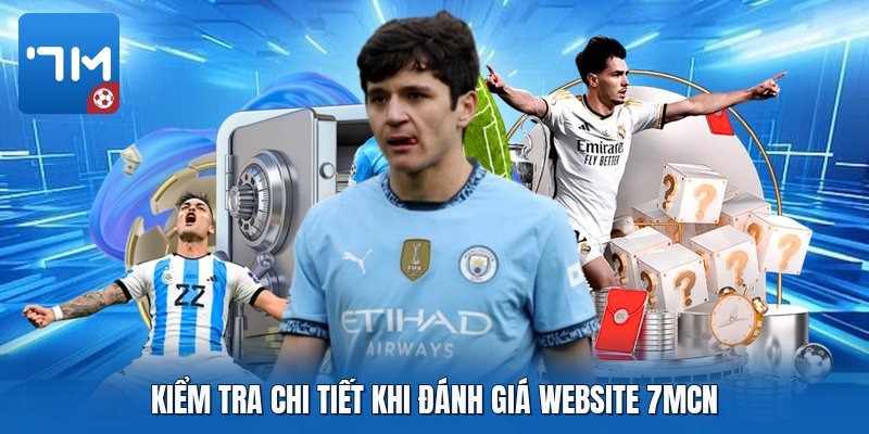 Kiểm tra chi tiết khi đánh giá website 7mcn Kiểm tra chi tiết khi đánh giá website 7mcn